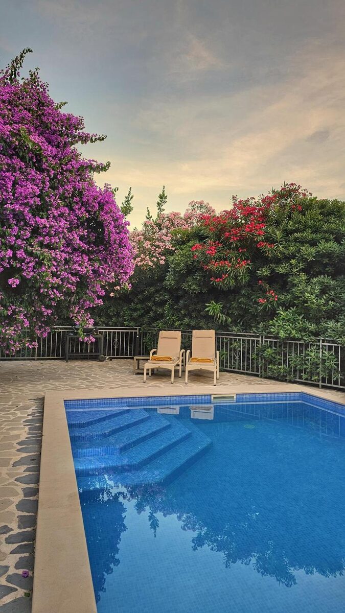 Villa Sazanka — zwembad bij zonsondergang