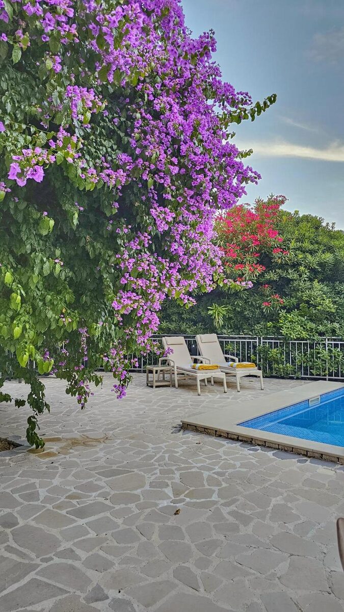 Villa Sazanka — zwembad met bougainville