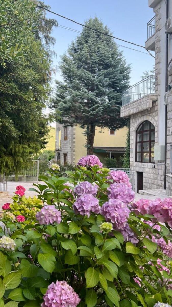 Villa Sazanka